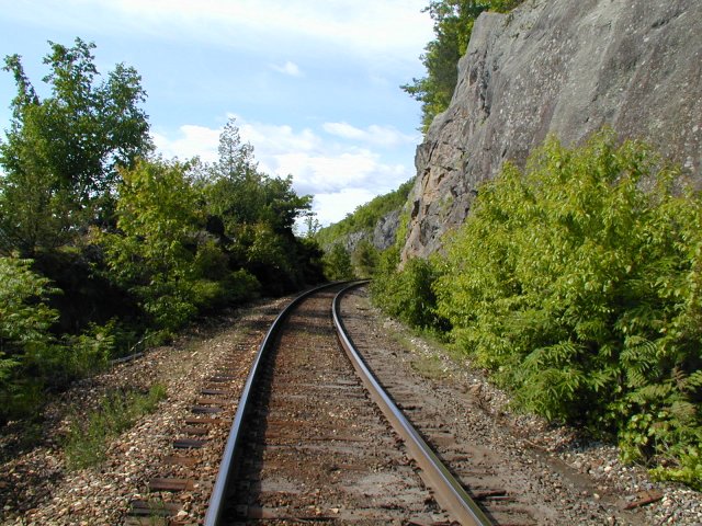 Taking A Walk Along The Tracks