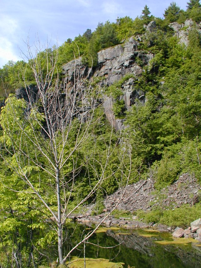 Taking A Walk Along The Tracks