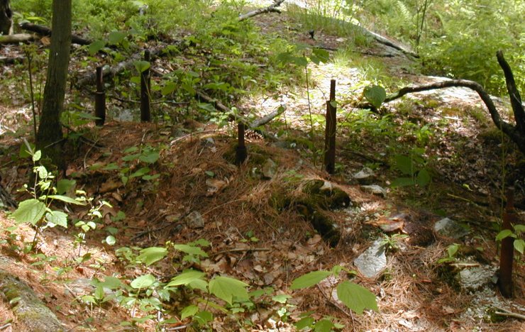 Abandoned Graphite Mine